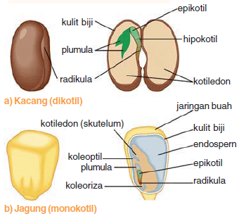 Indonesian Poop Base tweet media