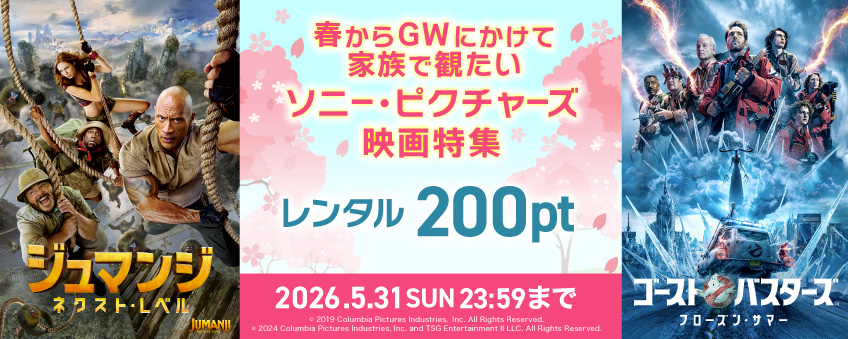 カンテレドーガ tweet media