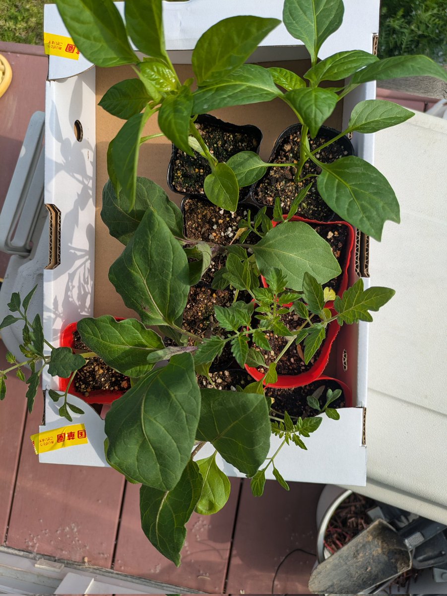 ばーら(バイク) tweet media