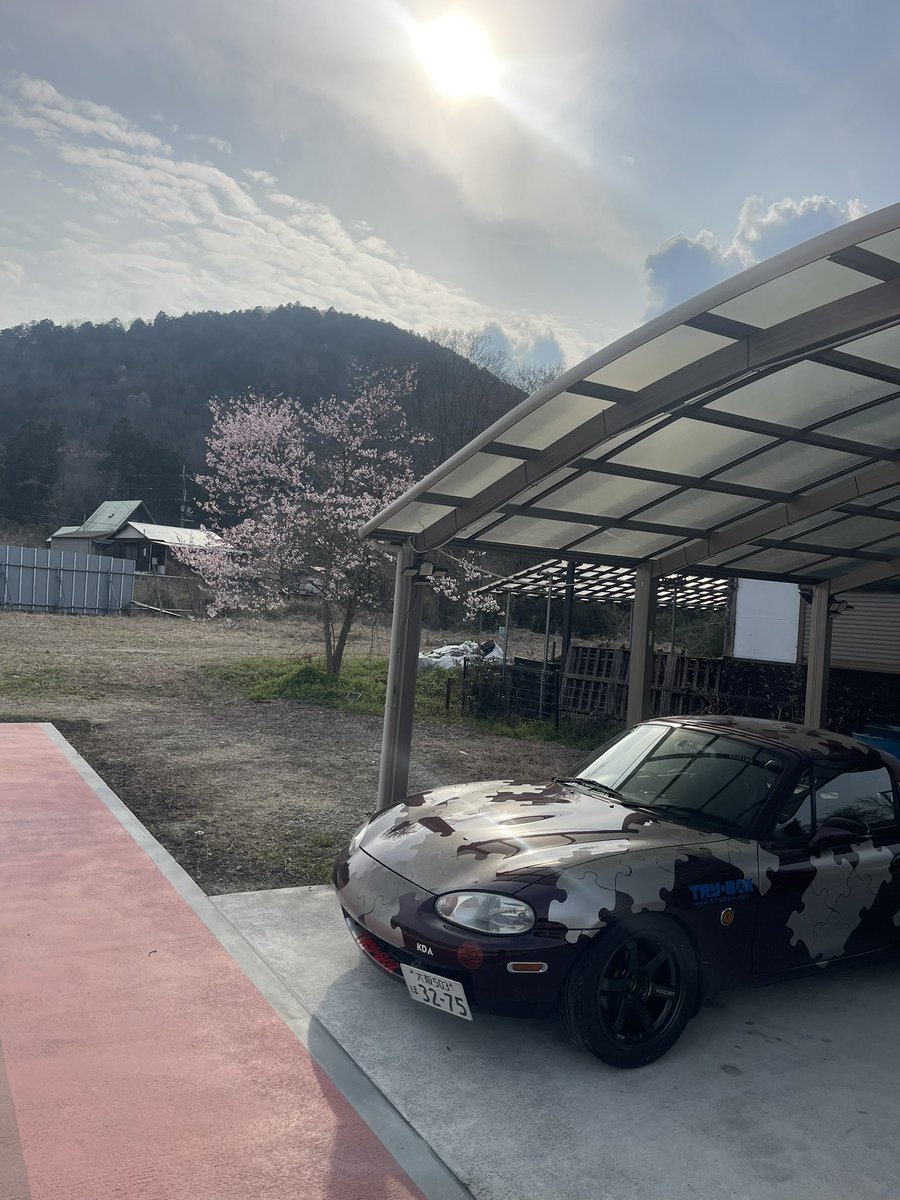 コアラ(R8/4/29 ロドフェスINモーターランド鈴鹿) tweet media