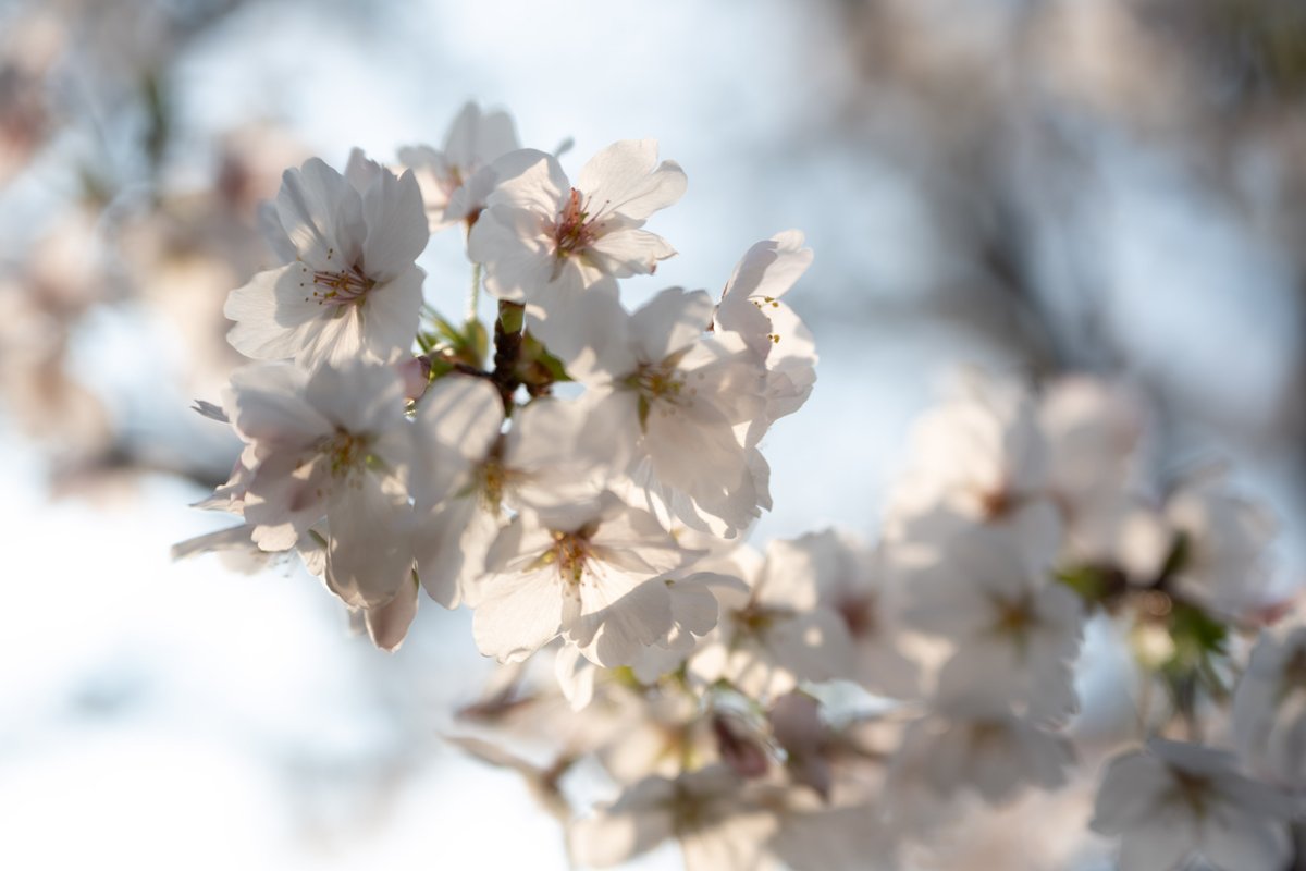 alpha★彡 tweet media