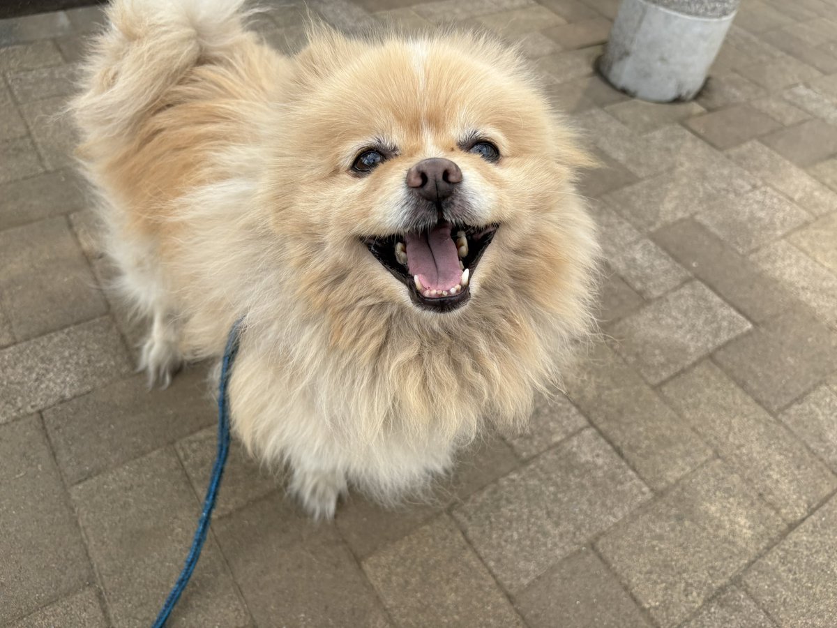 ∞ジェイク∞ tweet media