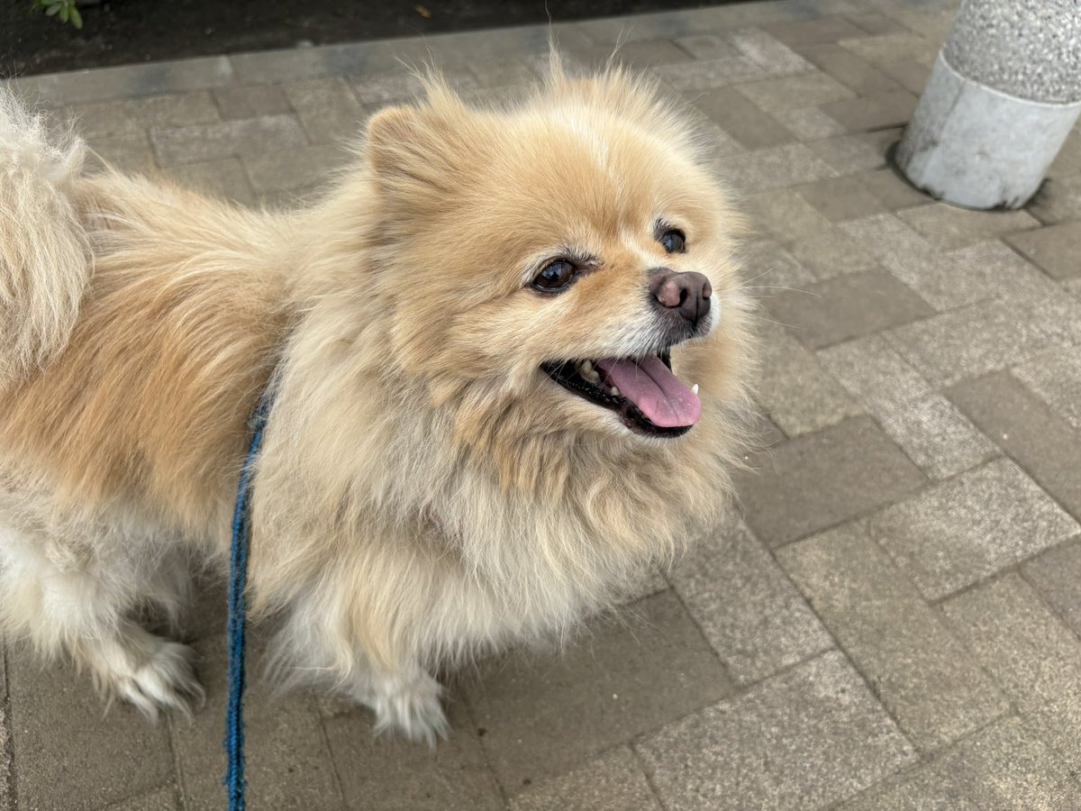 ∞ジェイク∞ tweet media