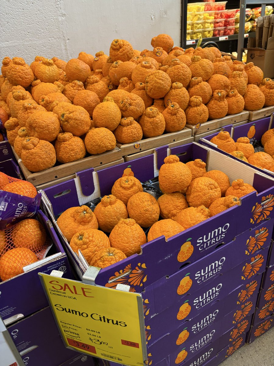 レモンライム tweet media