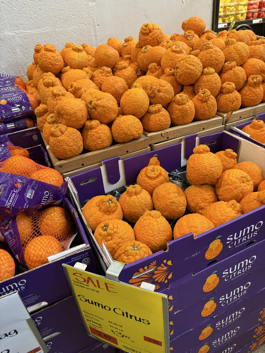 レモンライム tweet media