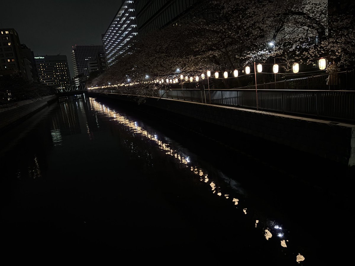 昨日の後半の光景。さてそろそろ新学期ですが、準備は何もしていません。まずは4月4日、5日のコンサートの練習を余念なく。