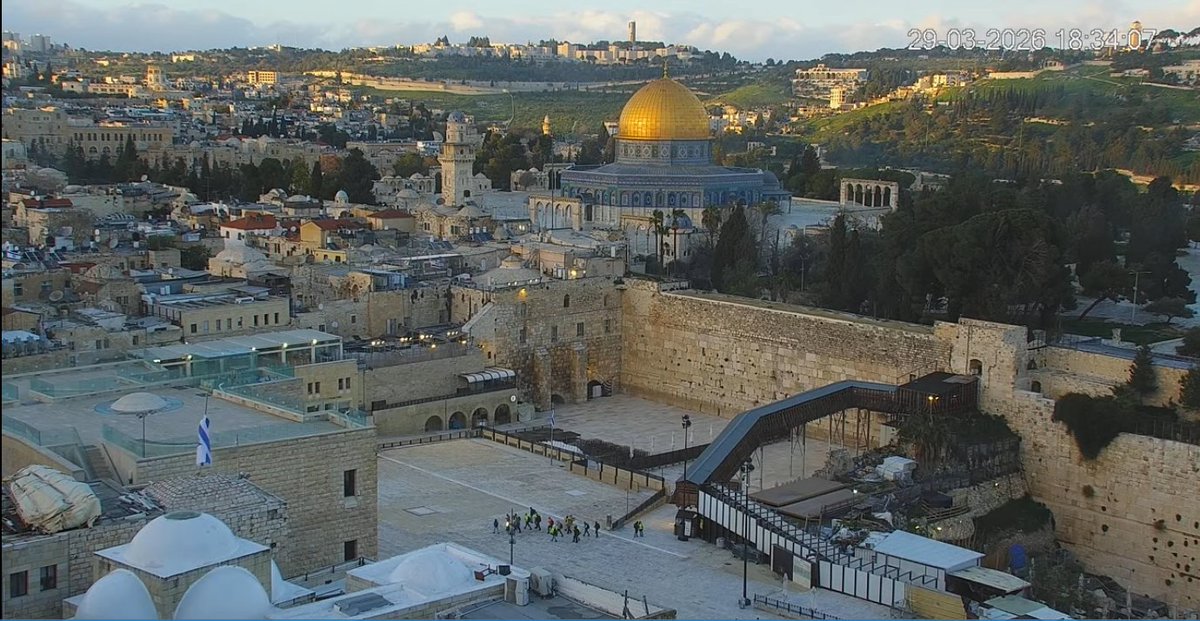 00 Agent Squirrel tweet media