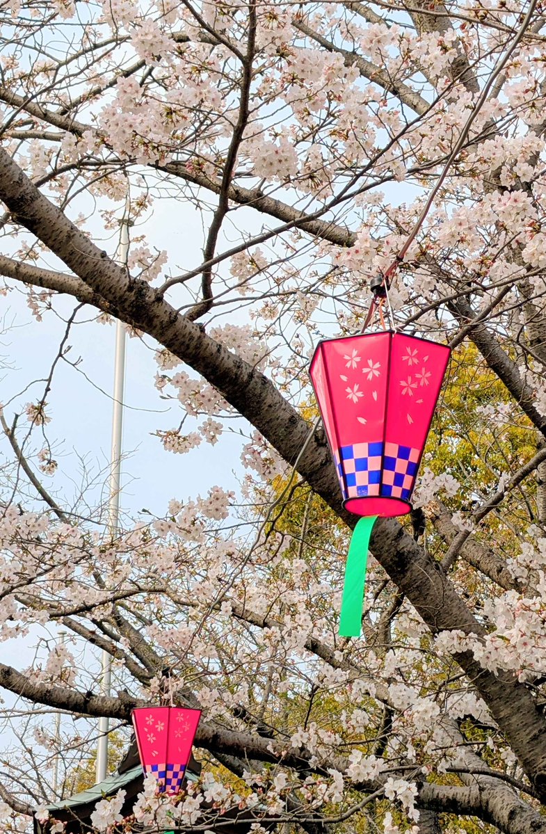 SUNABACO八代 tweet media