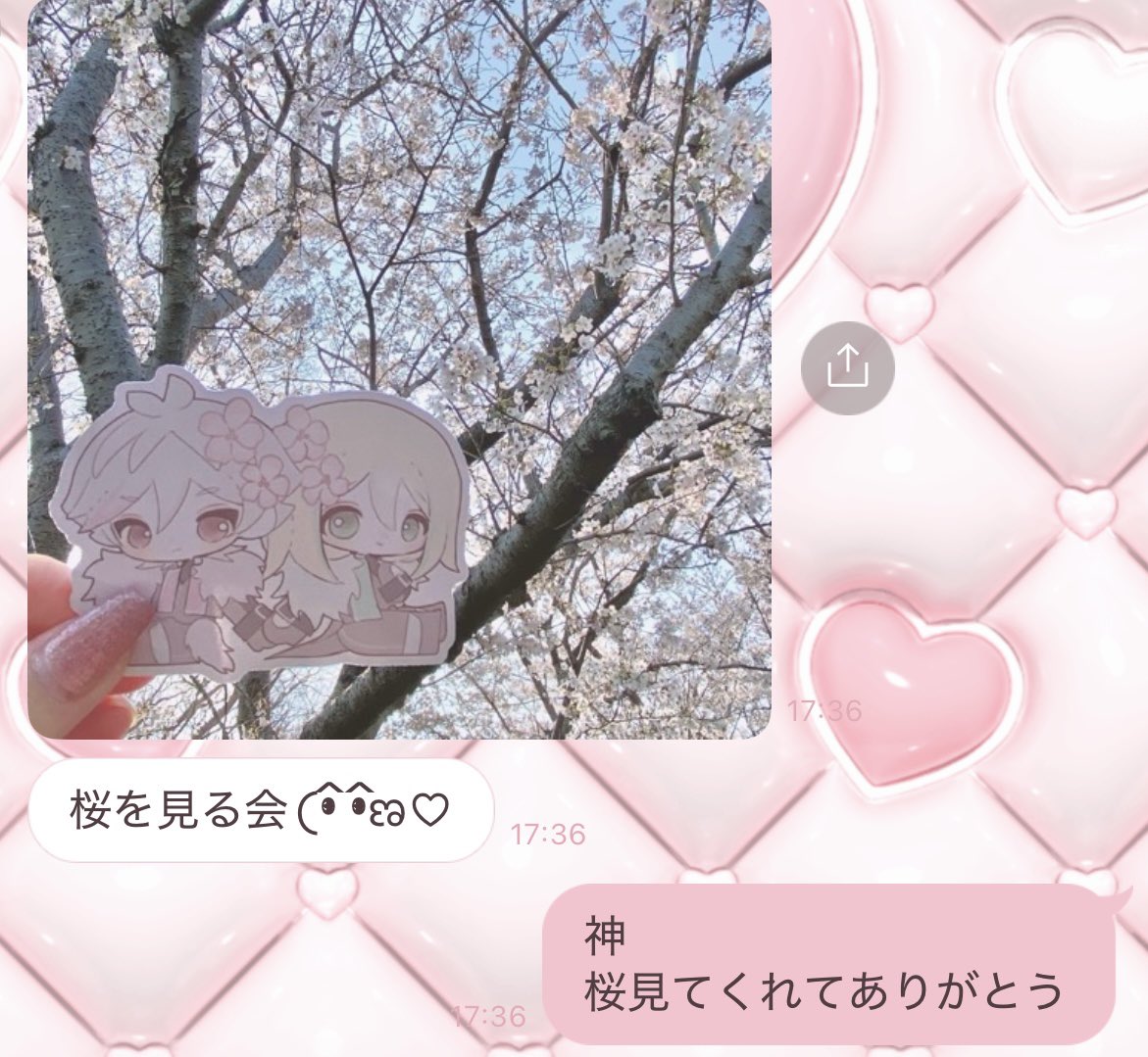 友人がメアをお花見に連れて行ってくれたらしい