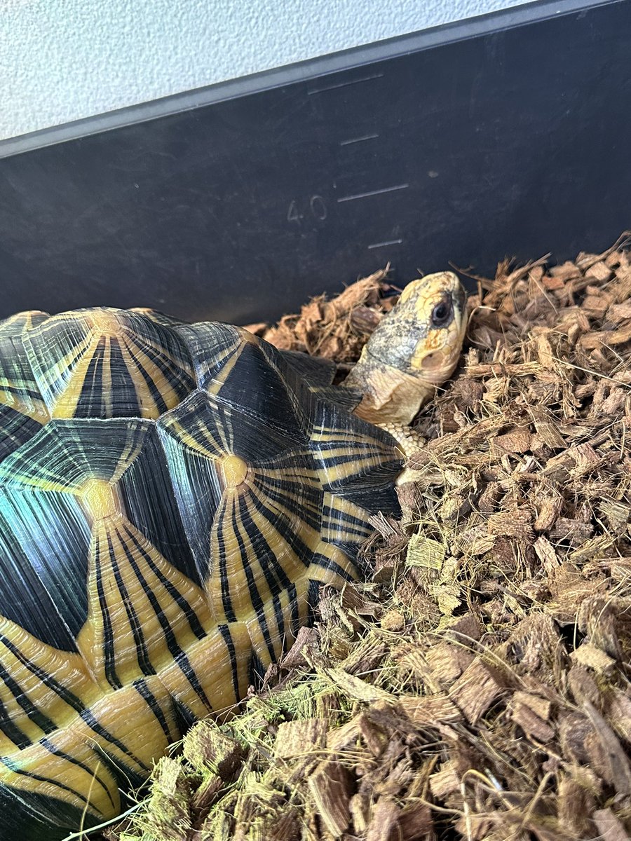 fabnak&lienスタッフKanami🌺🌈 tweet media