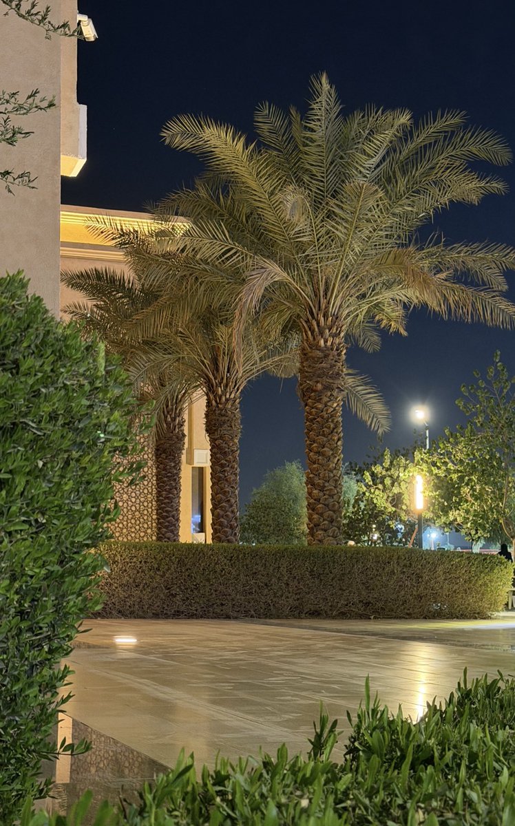 ناصر القطامي tweet media