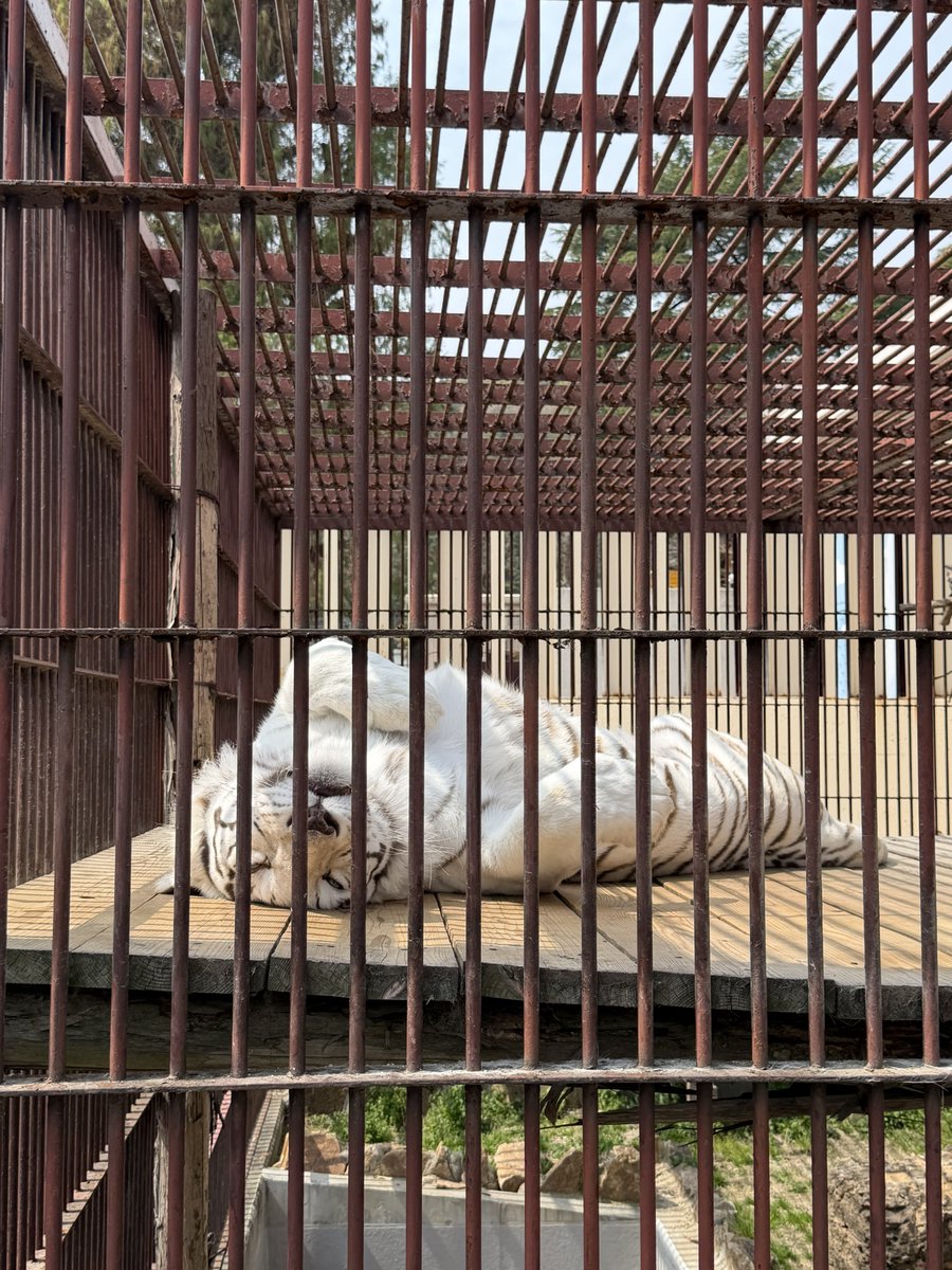 factory mui tweet media