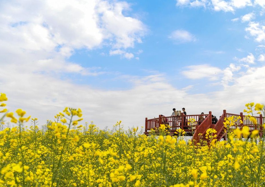 Guangming Daily tweet media