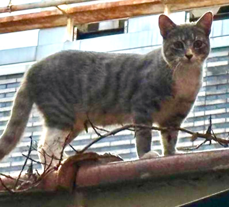 Keith Olbermann tweet media