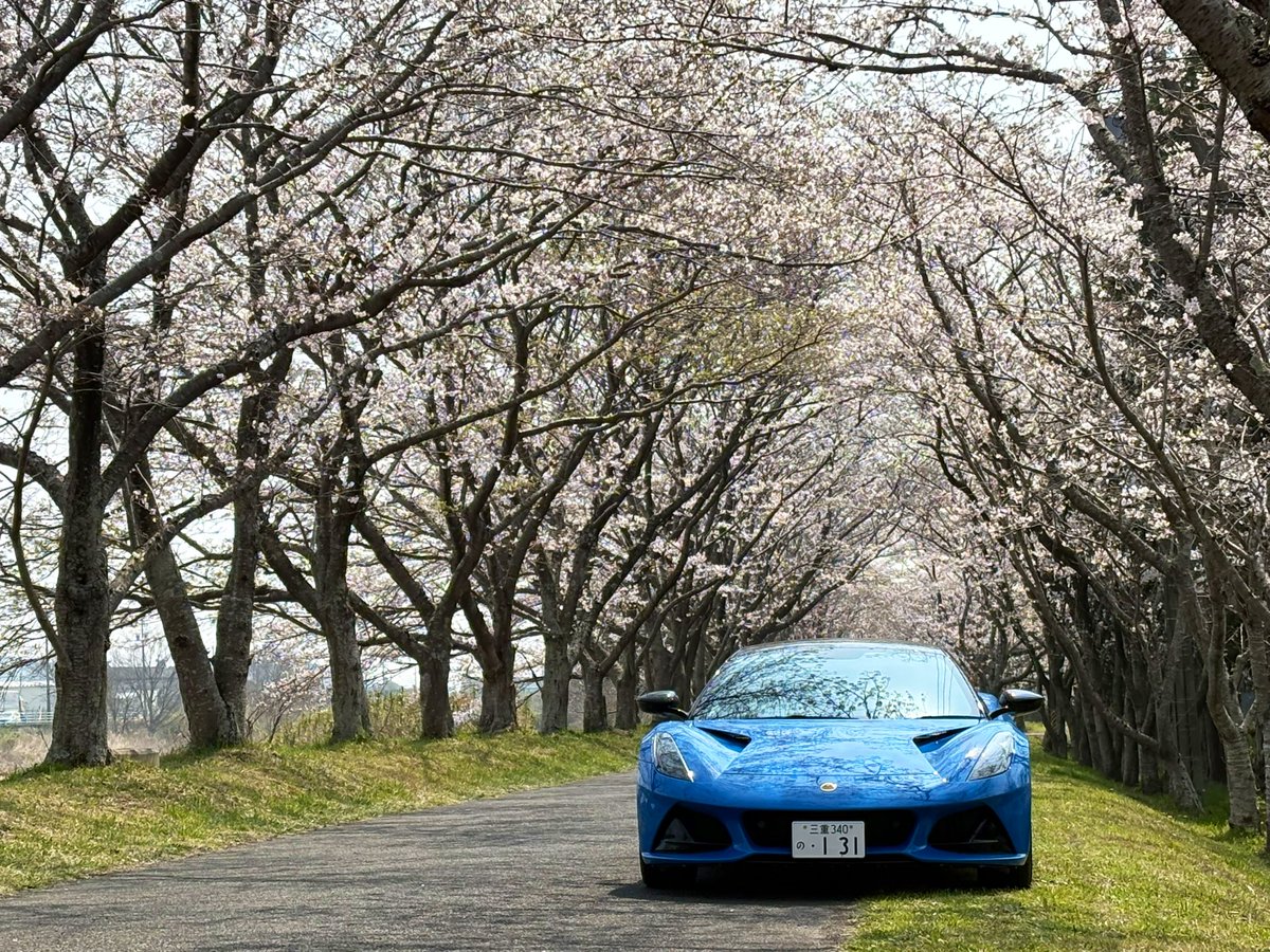 もりや農園 tweet media