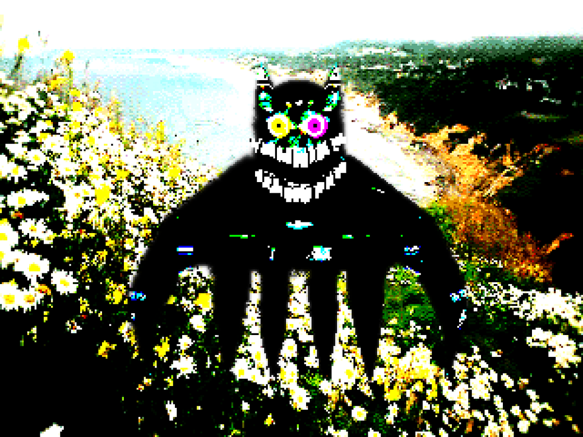 spoofymaru 🌟 tweet media