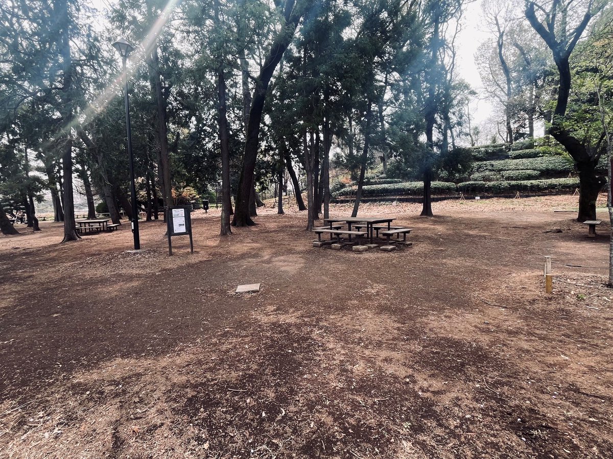 都立善福寺公園 tweet media