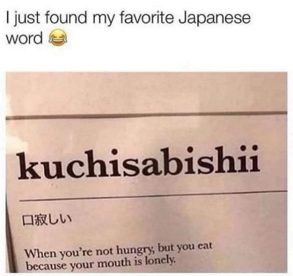 🇧🇪Evje van de Paskamer🇧🇪 tweet media