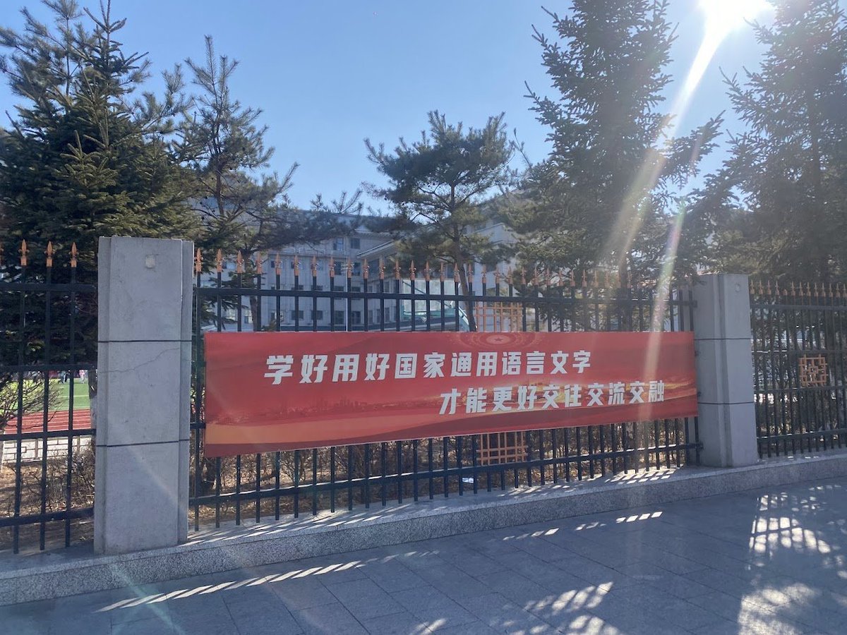 誰か雇ってください tweet media