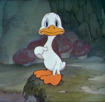 sassy cat 🍪 tweet media