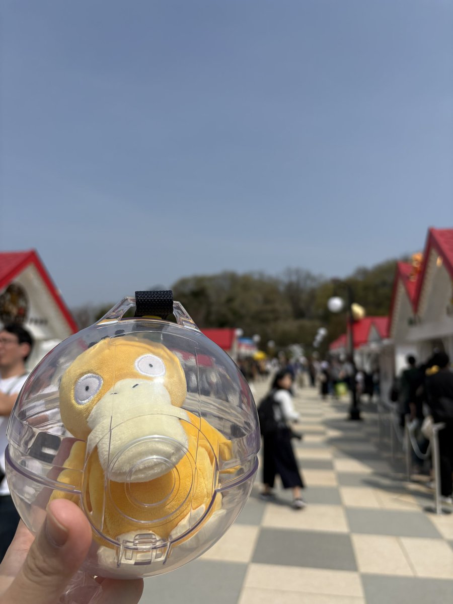 ひかるキダルト tweet media