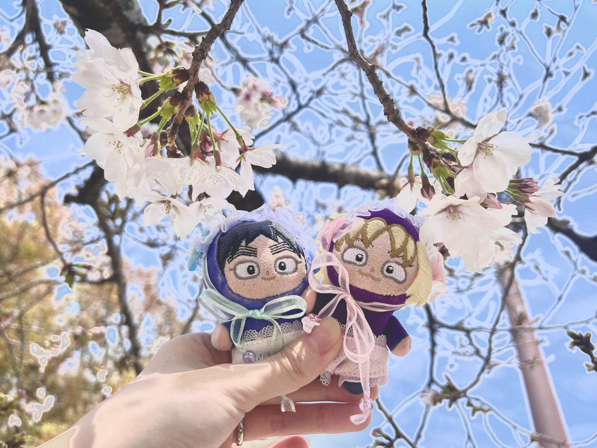 ちょるびん tweet media