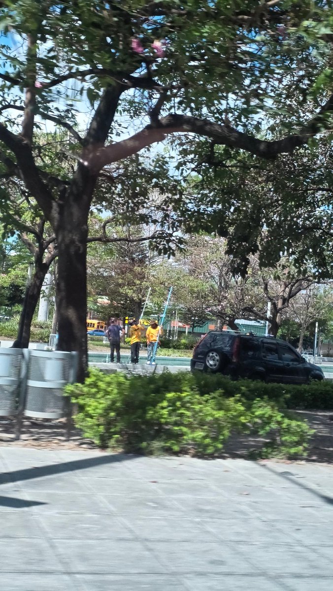 EL POLITICO SV. tweet media