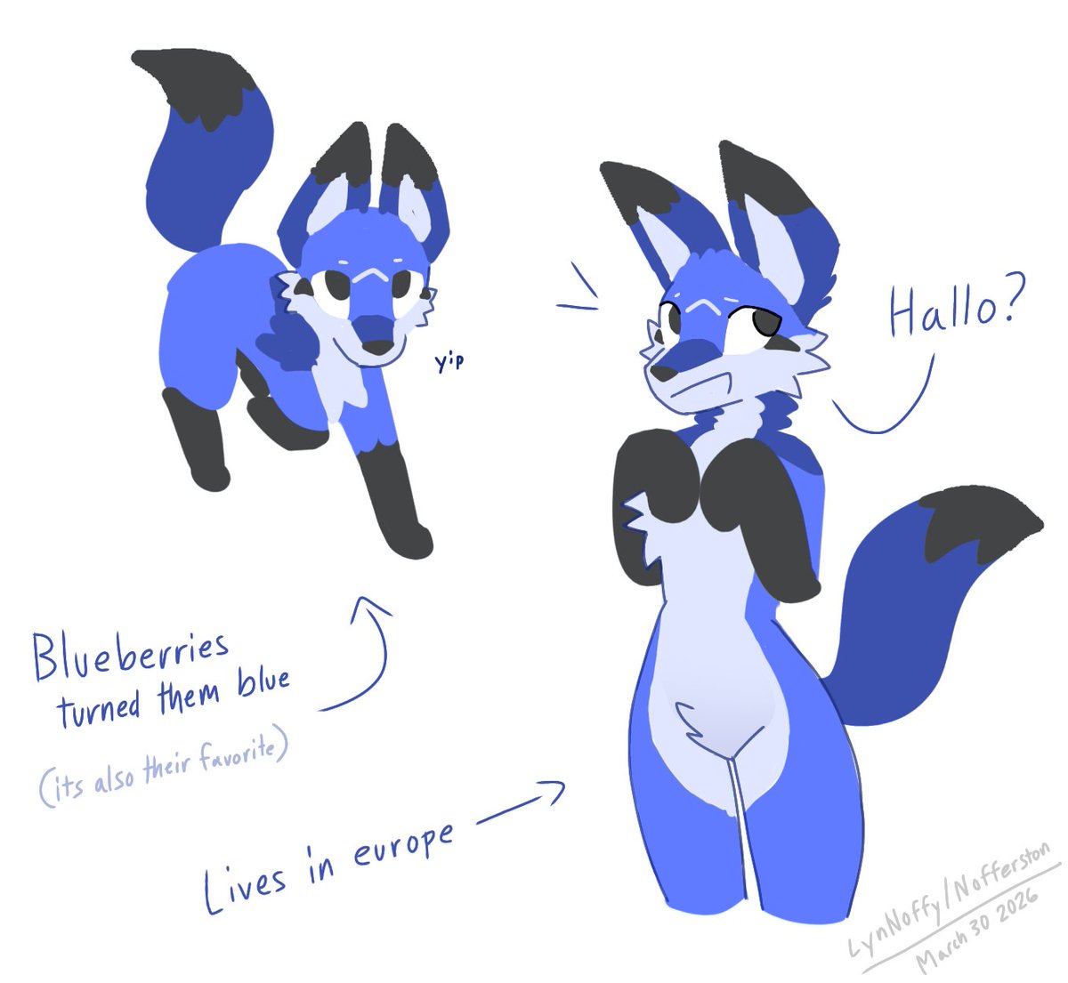 lyn Noffy tweet media