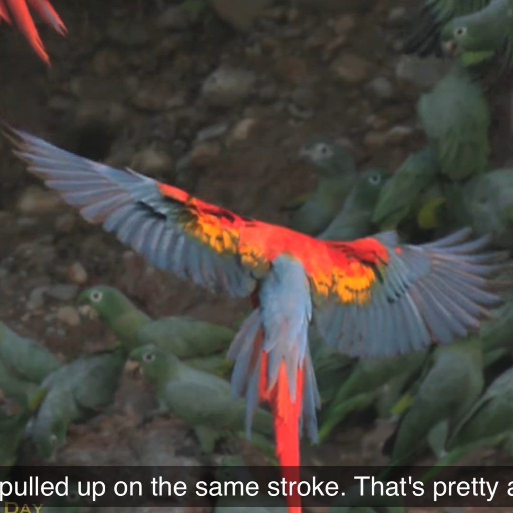 فاتح تويتر للفضفضة tweet media