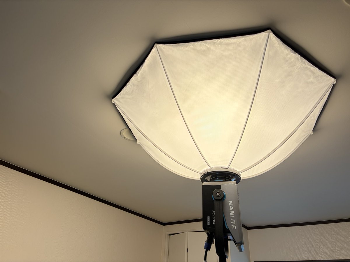 Yusuke Suzuki (鈴木 佑介)⭐️ときめきDOP tweet media