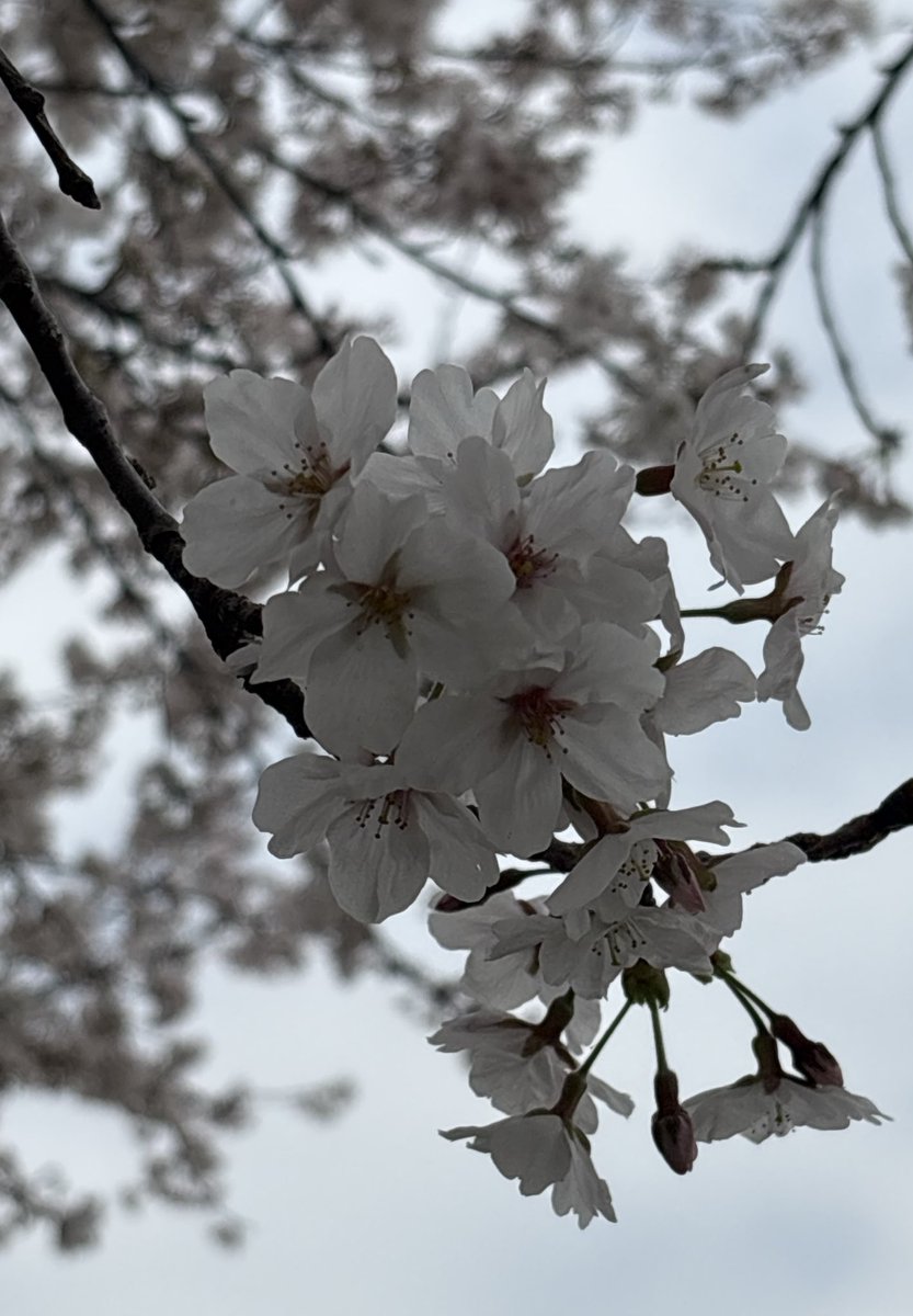 Kazu 1206 tweet media