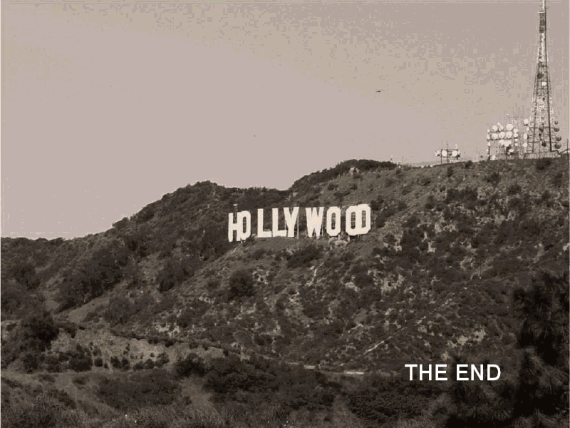 Sharrie Williams tweet media