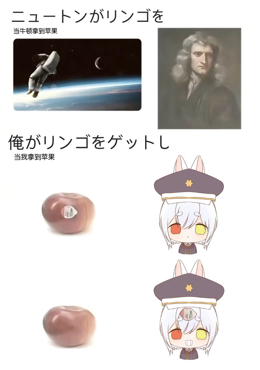 只是一只路过的猫 tweet media