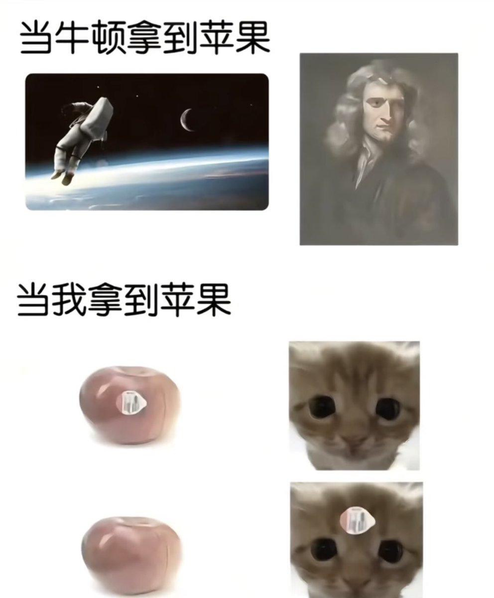 只是一只路过的猫 tweet media