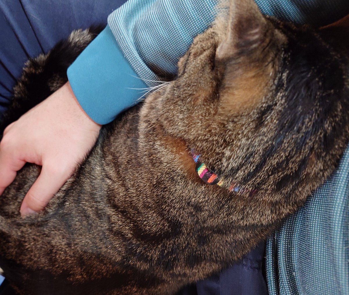 key(ケイ茶) tweet media