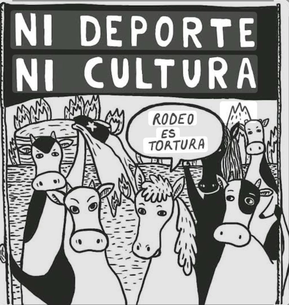 Patricio Inostroza tweet media