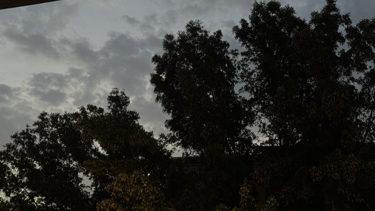 SilverBuIlIet's tweet photo. صور شجر الصباح🌳♥️ https://t.co/ni5ollAiiU