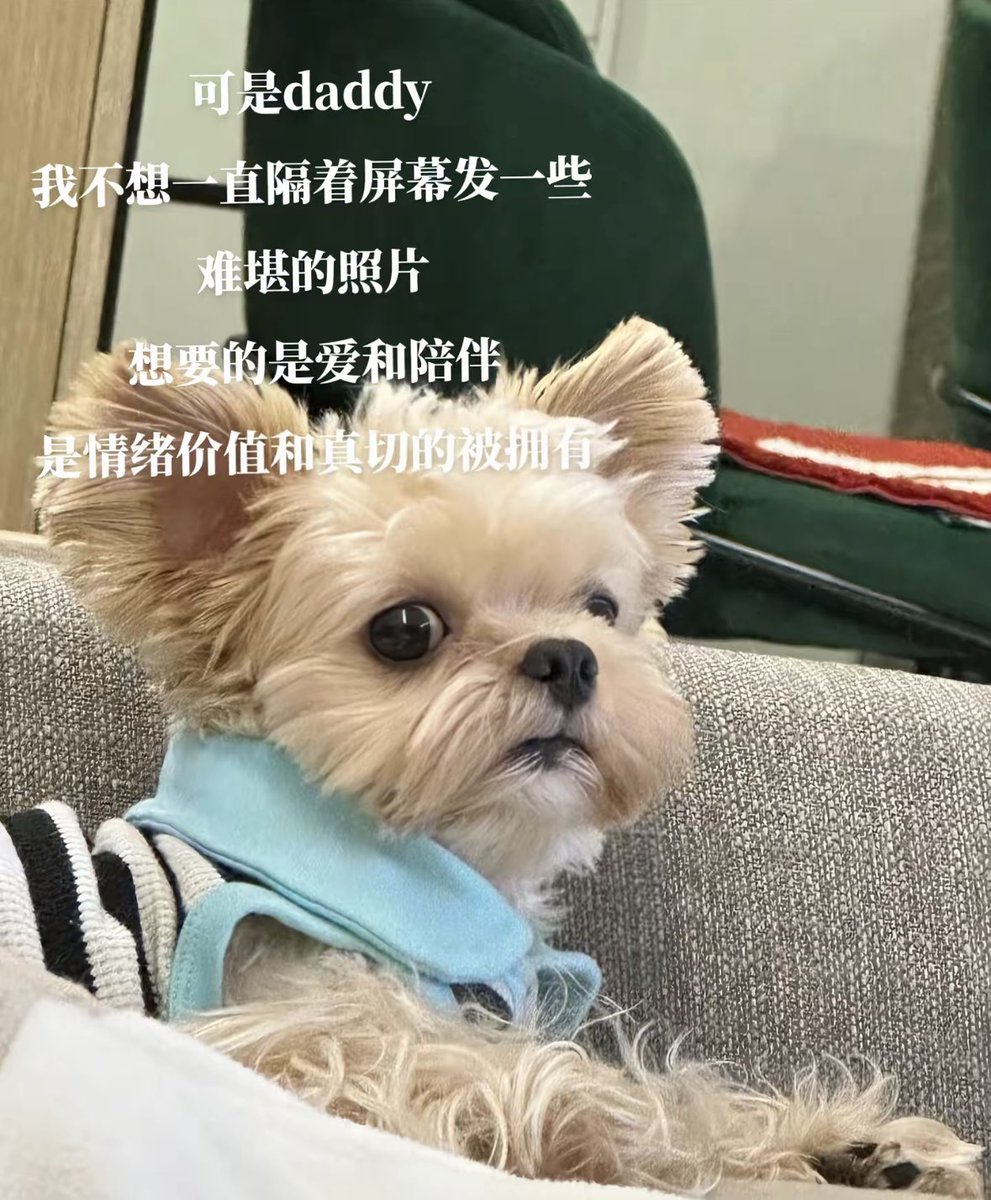 SereLovity's tweet photo. 小圈⭕️又何尝不是，聊几天，约个时间实践，打完各自收拾收拾回家，甚至连对方叫什么都不知道，没有情感连接的实践没有任何意义 https://t.co/YYFWMDfm2S