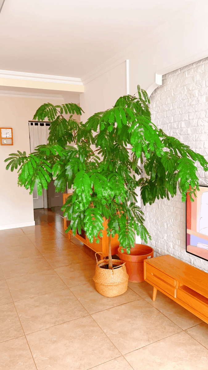 Kazi A. Roni tweet media