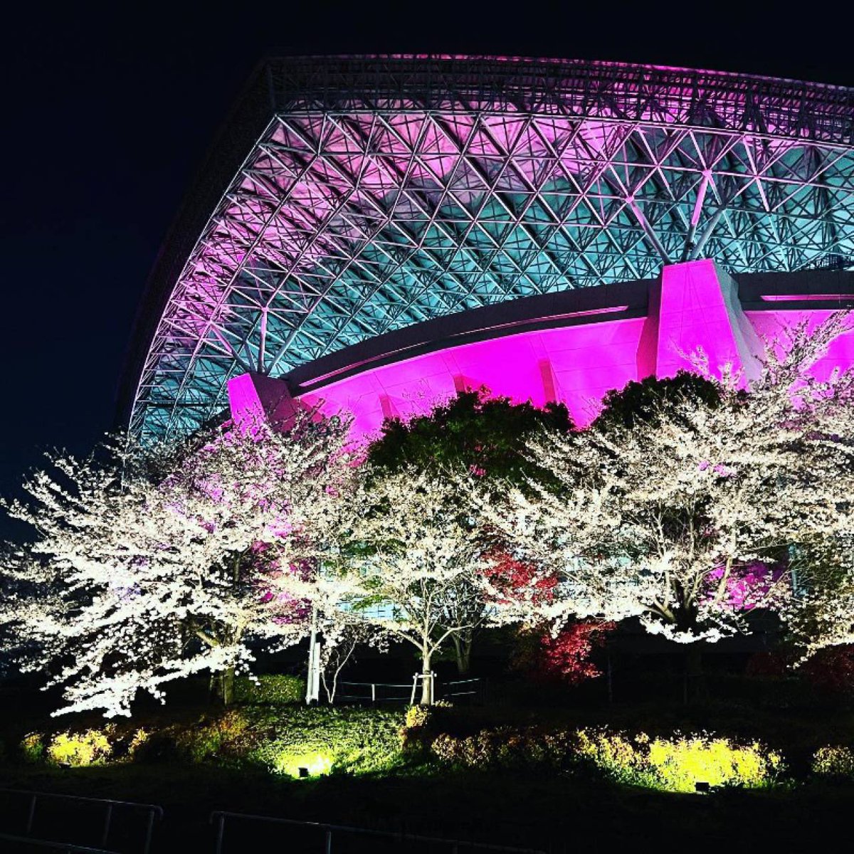 URAWA LABO（浦和ラボ） tweet media