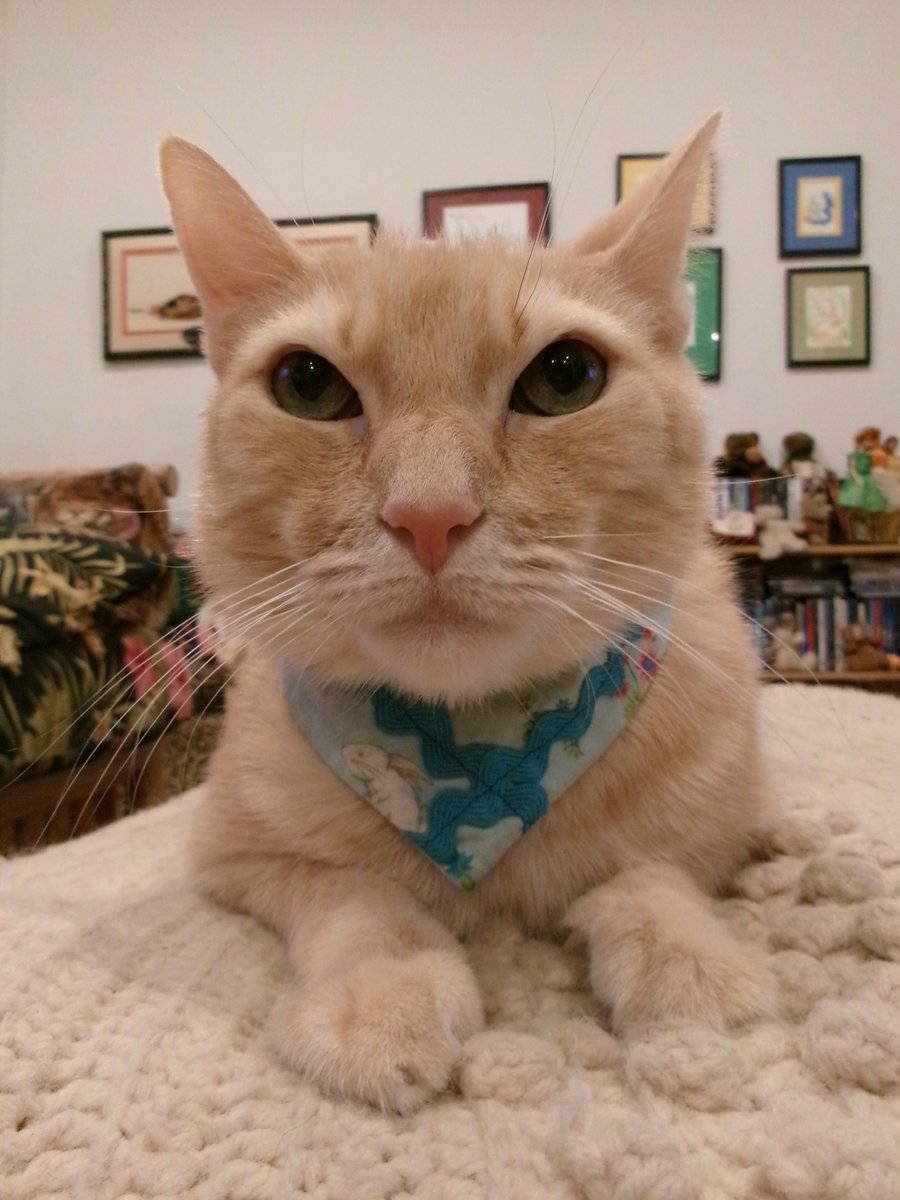 Travis Ford tweet media