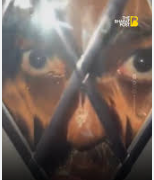 Clawed Monet tweet media