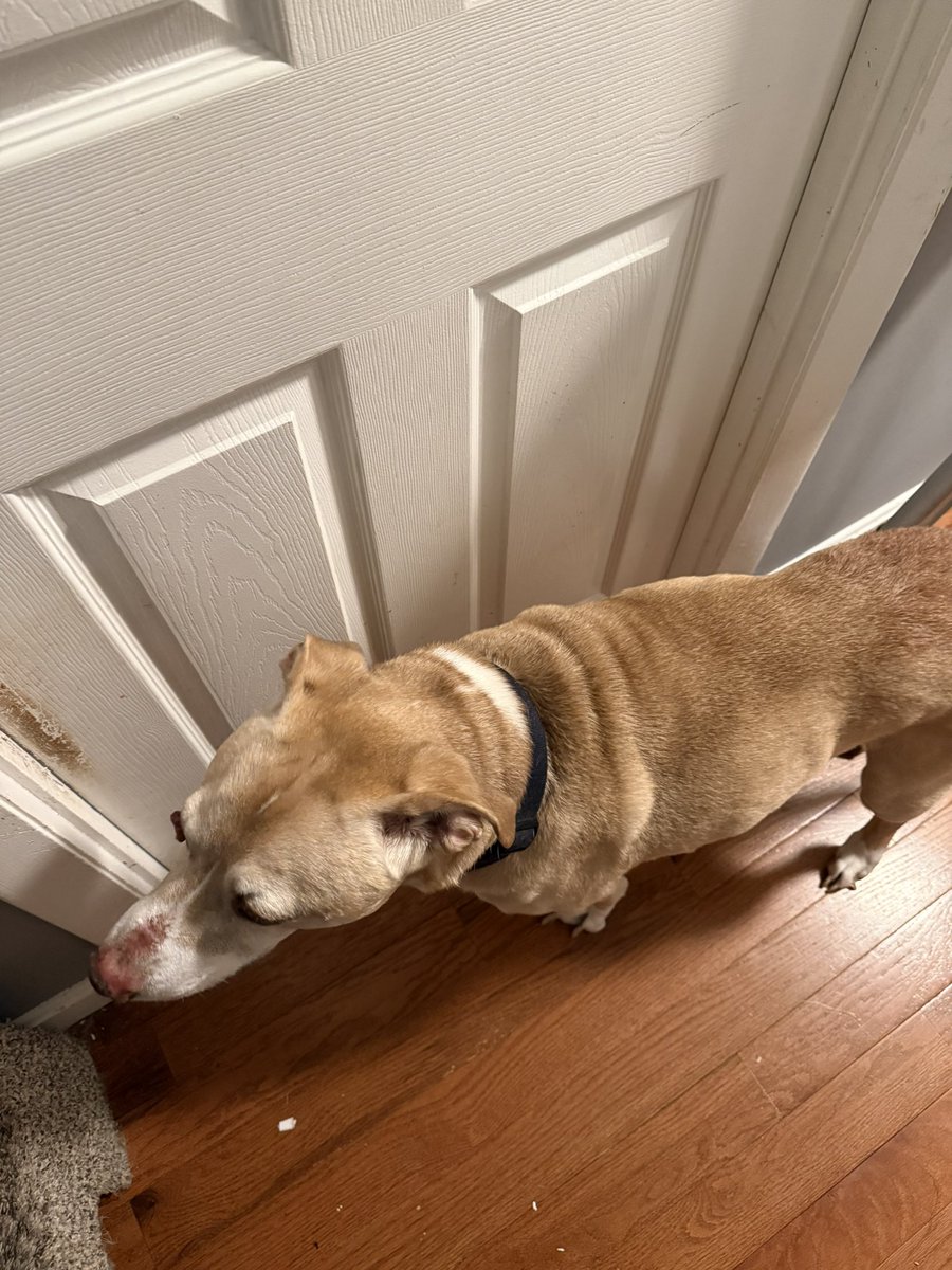 Plebby 🤌 tweet media