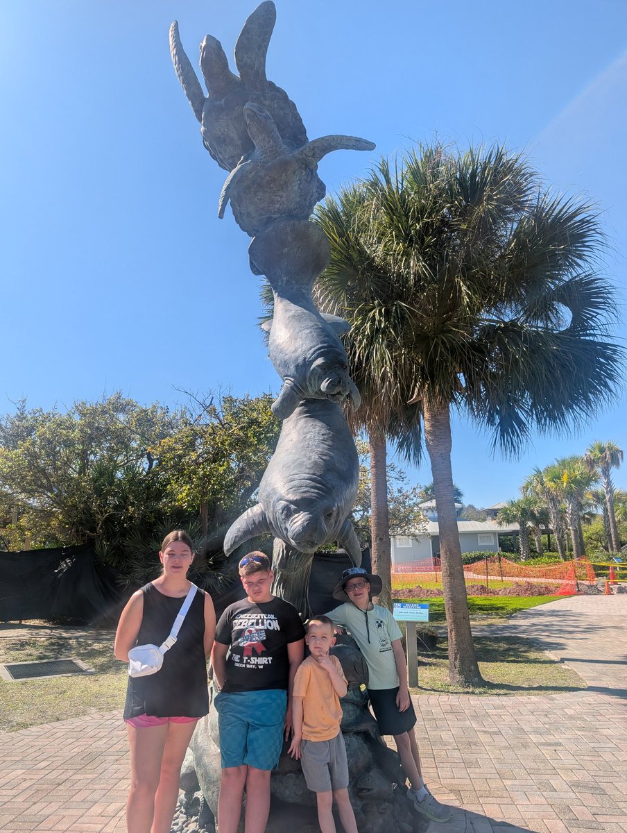 Lindsay Ellerman tweet media