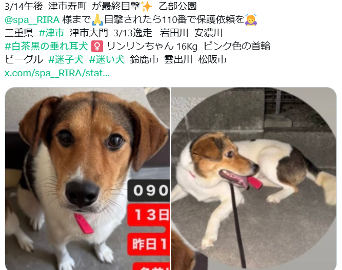 くるみmama tweet media