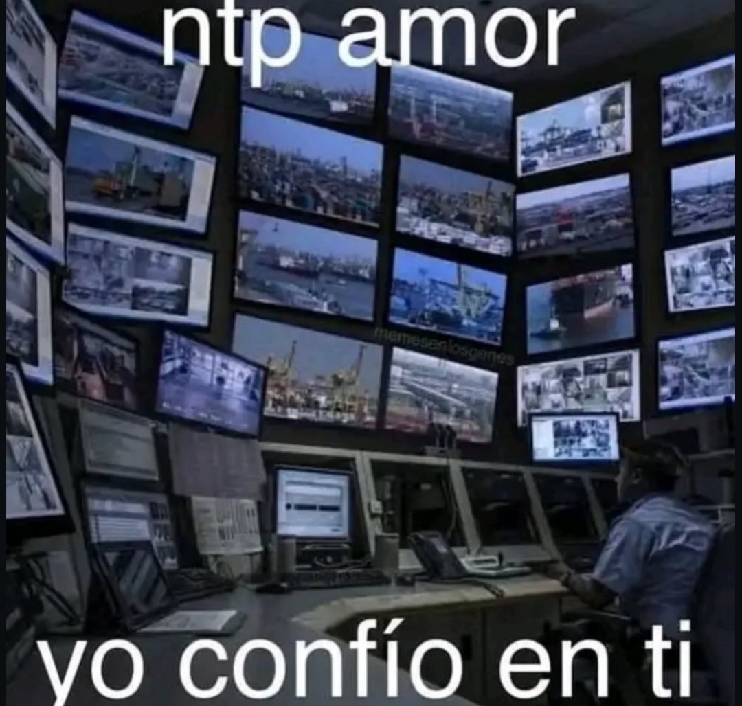 Vicent Gallo tweet media