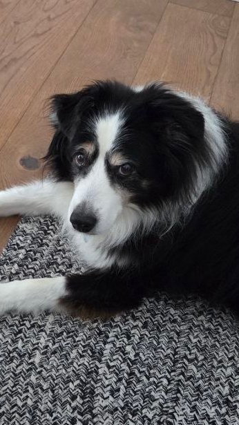 MTKate2.0 tweet media