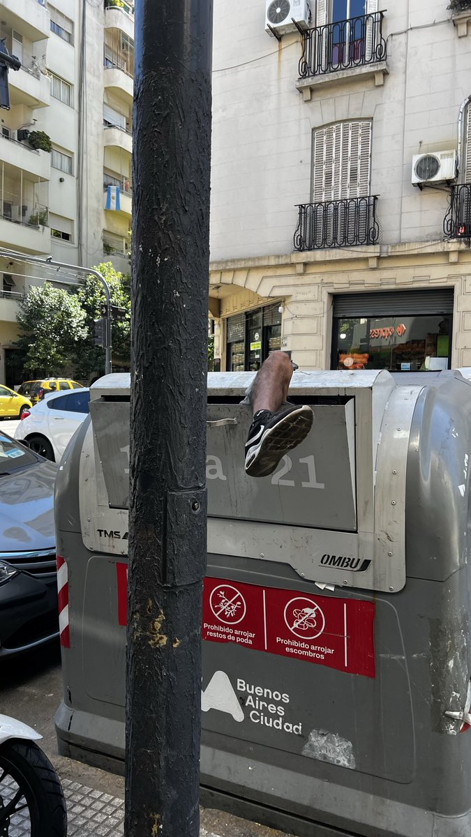 marcelapao tweet media