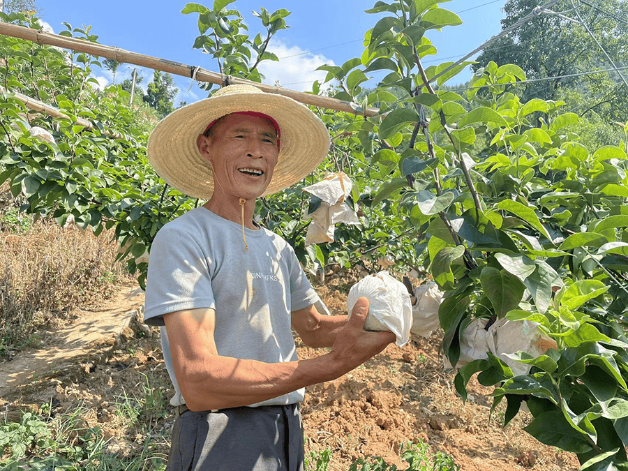 The Official ToN tweet media