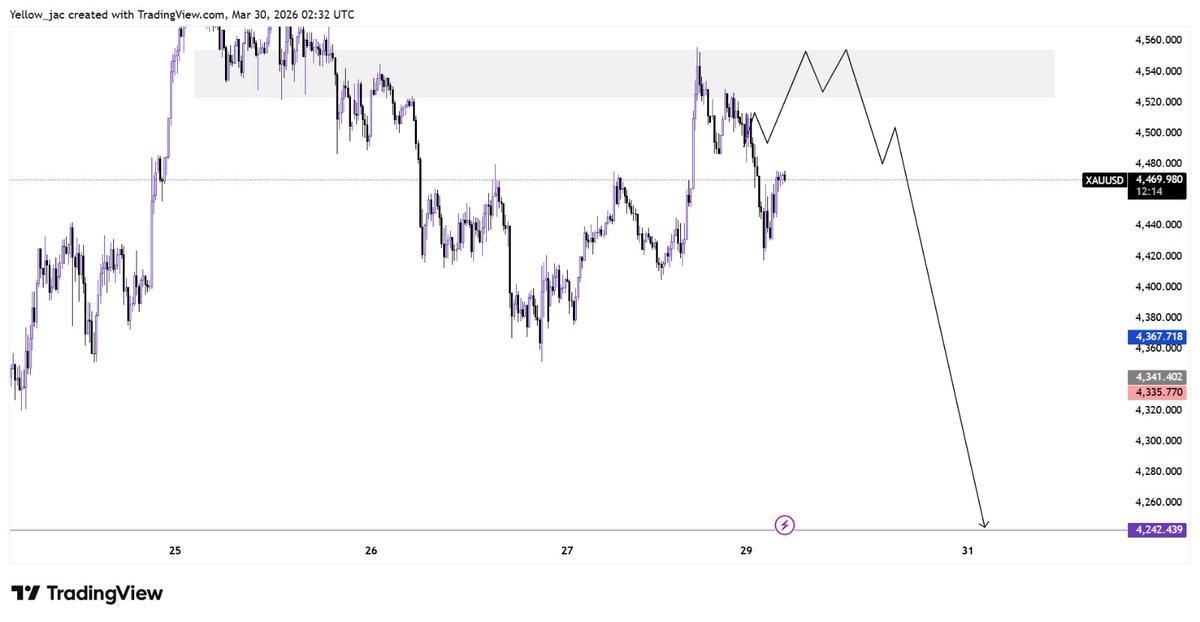 GOLD PRO TRADER🙅 tweet media